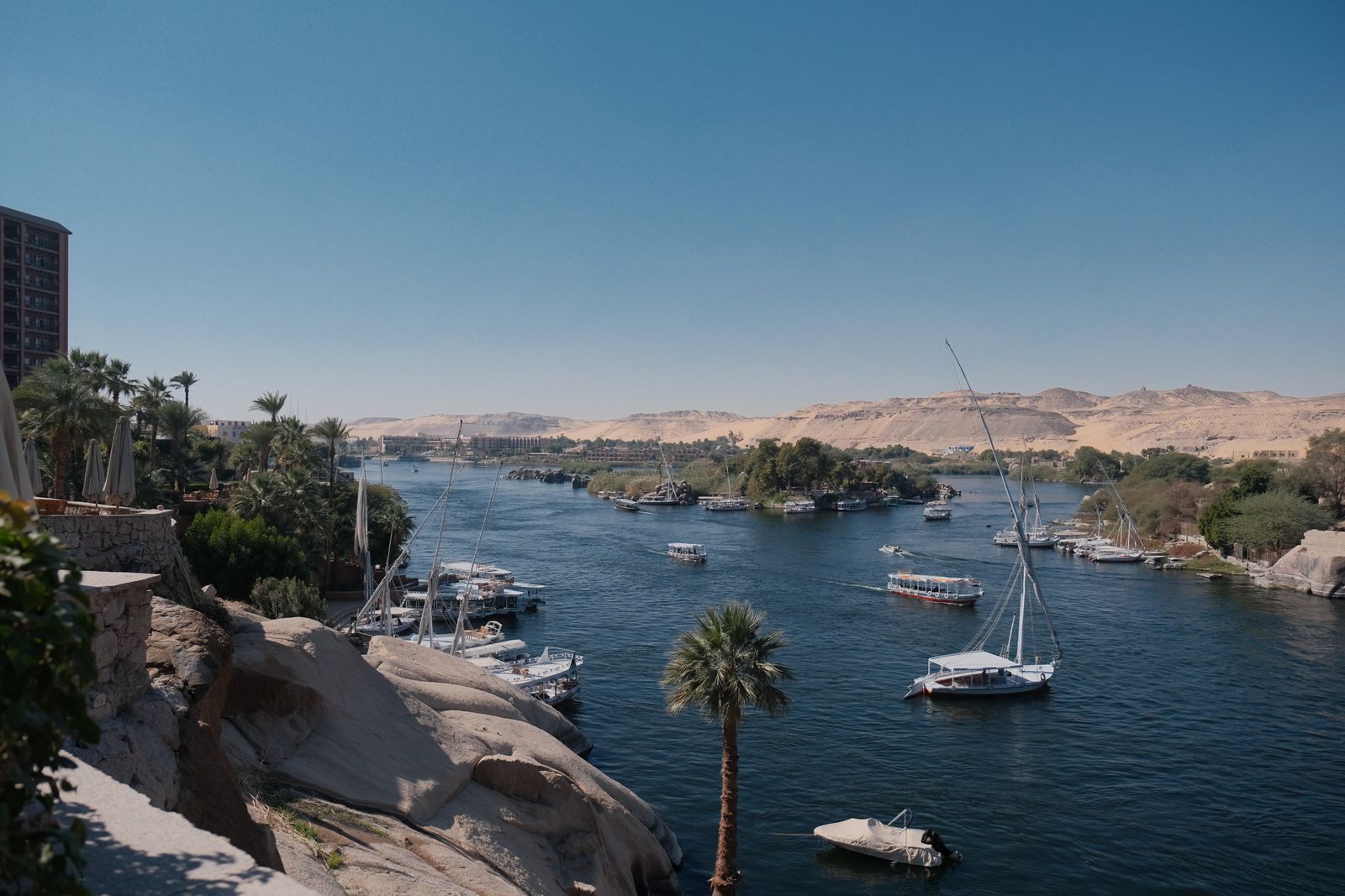 Boats on the Nile below palm-lined banks at Aswan, Egypt