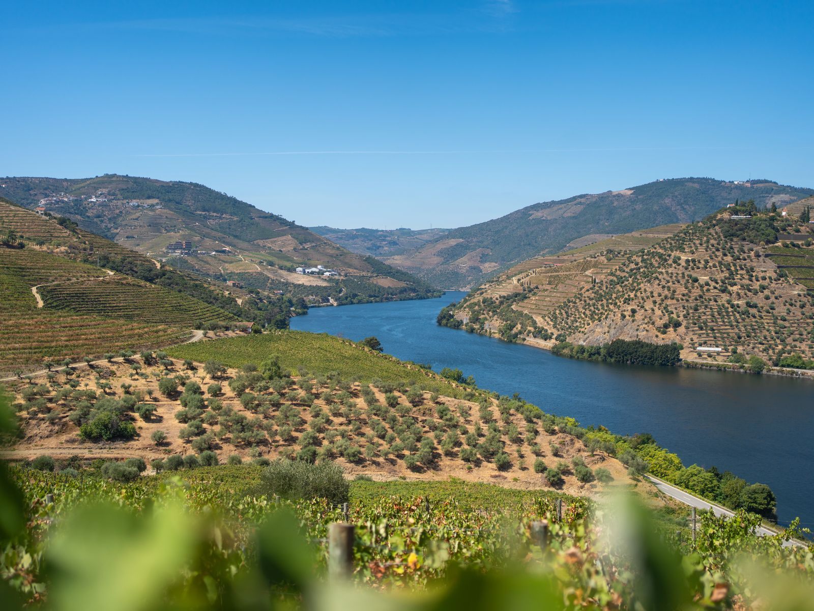 The Douro River winding between vineyard hills in northern Portugal